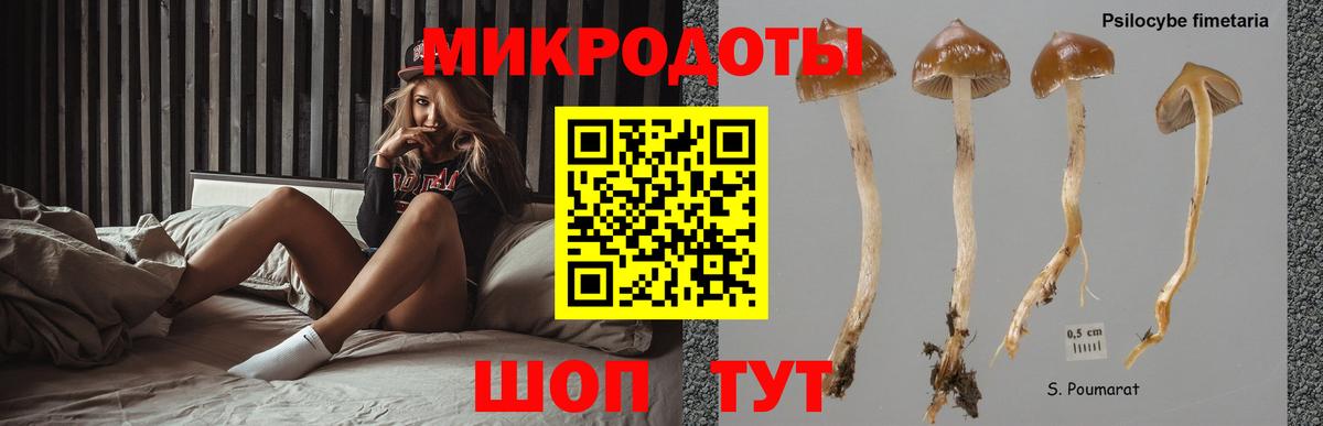 Галлюциногенные грибы мухоморы  Вход с VPN  Магнитогорск 
